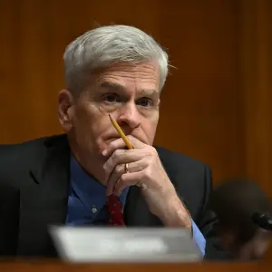 Senator and Insurers Cast Doubt on U.S. Vaccine Panel as It Readies Review