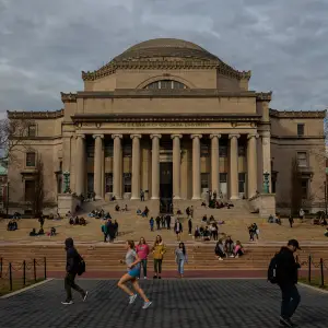 New International Student Enrollment Plummeted This Fall, Survey Finds