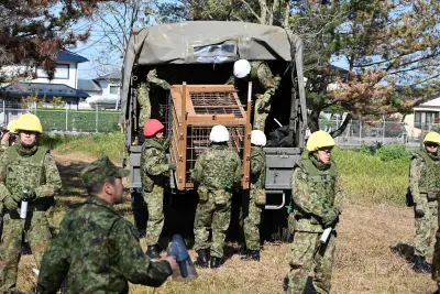 Japan Calls in the Army To Cope With a String of Deadly Bear Attacks