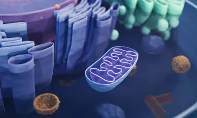 How a third parent's DNA can prevent an inherited disease