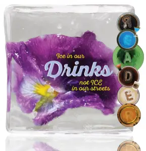 Chicago Reader Volume 55, Number 7