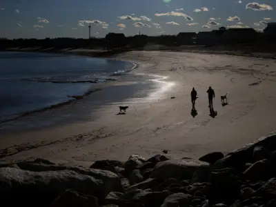 South Shore officer takes to the sea in a kayak to rescue golden retriever from drowning