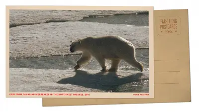 Greetings from the Arctic Circle, where an icebreaker ship drew polar bears' attention