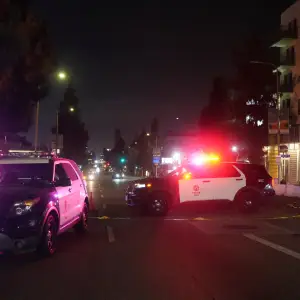 Driver Purposely Plows Car Into Crowd in L.A., Injuring at Least 30, Officials Say