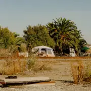 Trump Administration Withdraws Plan to Overhaul Homeless Aid