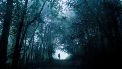 Whistling in the Woods After Dark: Hidden Meaning Lurks in Old American Folklore