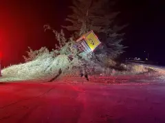 N.H. police investigating crash that ‘launched’ box truck into cluster of trees