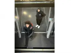 Saugus police seek two suspects in mall assault against mother and children
