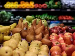 Where to find food assistance around Boston