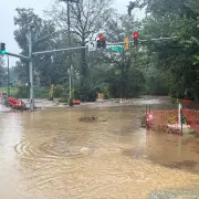 Heavy Rains in Washington Area Flood Roads and Prompt Water Rescues