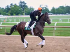Leominster puts the kibosh on horse racing plan