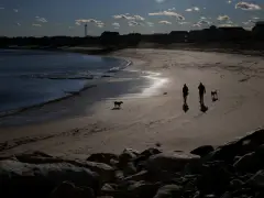 South Shore officer takes to the sea in a kayak to rescue golden retriever from drowning