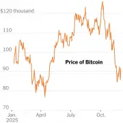 Bitcoin’s Sky-High Prices Have Not Panned Out