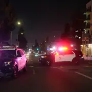 Driver Purposely Plows Car Into Crowd in L.A., Injuring at Least 30, Officials Say